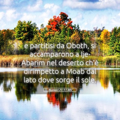 Picture 05 - Numeri 21:11 RIV - e partitisi da Oboth, si accamparono a Ije-Abarim - Bible Verse Picture