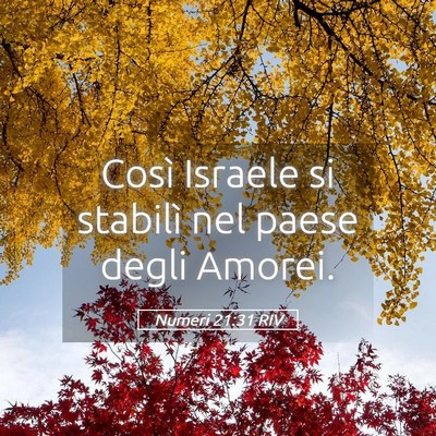 Picture 05 - Numeri 21:31 RIV - Così Israele si stabilì nel paese degli - Bible Verse Picture
