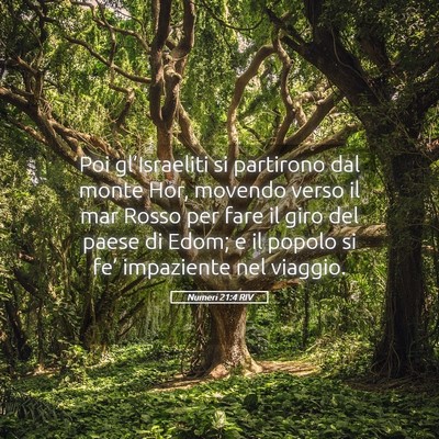 Picture 05 - Numeri 21:4 RIV - Poi gl’Israeliti si partirono dal monte Hor, - Bible Verse Picture