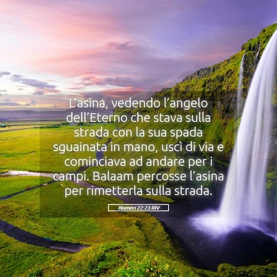 Picture 05 - Numeri 22:23 RIV - L’asina, vedendo l’angelo dell’Eterno che - Bible Verse Picture