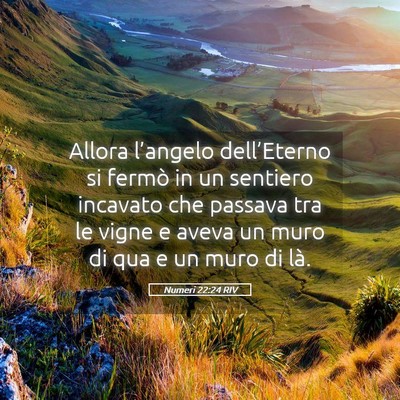 Picture 05 - Numeri 22:24 RIV - Allora l’angelo dell’Eterno si fermò in un - Bible Verse Picture