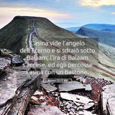 Picture 05 - Numeri 22:27 RIV - L’asina vide l’angelo dell’Eterno e si - Bible Verse Picture