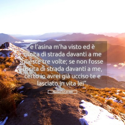 Picture 05 - Numeri 22:33 RIV - e l’asina m’ha visto ed è uscita di strada - Bible Verse Picture
