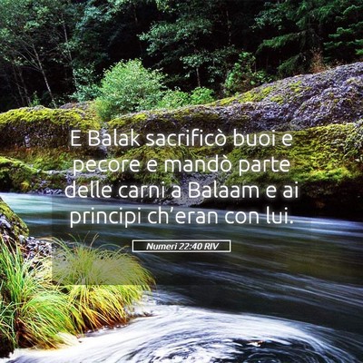 Picture 05 - Numeri 22:40 RIV - E Balak sacrificò buoi e pecore e mandò parte - Bible Verse Picture