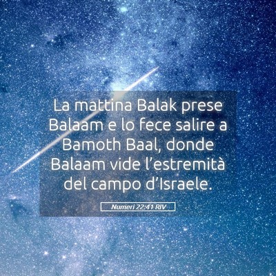 Picture 05 - Numeri 22:41 RIV - La mattina Balak prese Balaam e lo fece salire a - Bible Verse Picture