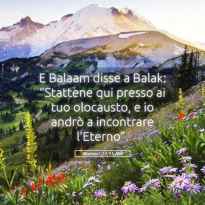 Picture 05 - Numeri 23:15 RIV - E Balaam disse a Balak: “Stattene qui presso ai - Bible Verse Picture