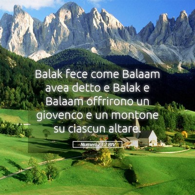 Picture 05 - Numeri 23:2 RIV - Balak fece come Balaam avea detto e Balak e - Bible Verse Picture
