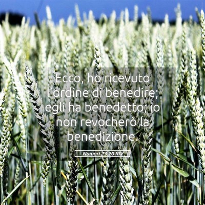 Picture 05 - Numeri 23:20 RIV - Ecco, ho ricevuto l’ordine di benedire; egli ha - Bible Verse Picture