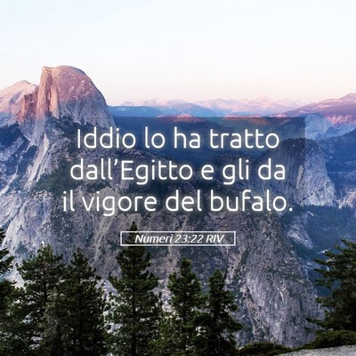 Picture 05 - Numeri 23:22 RIV - Iddio lo ha tratto dall’Egitto e gli da il - Bible Verse Picture