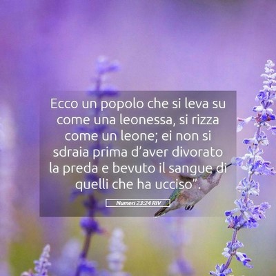 Picture 05 - Numeri 23:24 RIV - Ecco un popolo che si leva su come una leonessa, - Bible Verse Picture
