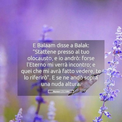 Picture 05 - Numeri 23:3 RIV - E Balaam disse a Balak: “Stattene presso al tuo - Bible Verse Picture
