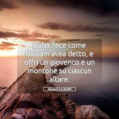 Picture 05 - Numeri 23:30 RIV - Balak fece come Balaam avea detto, e offrì un - Bible Verse Picture