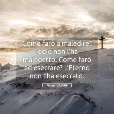 Picture 05 - Numeri 23:8 RIV - Come farò a maledire? Iddio non l’ha - Bible Verse Picture