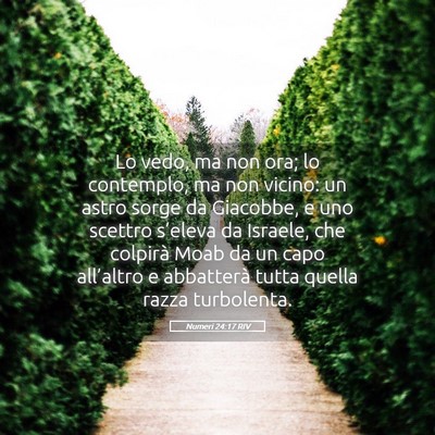 Picture 05 - Numeri 24:17 RIV - Lo vedo, ma non ora; lo contemplo, ma non vicino: - Bible Verse Picture