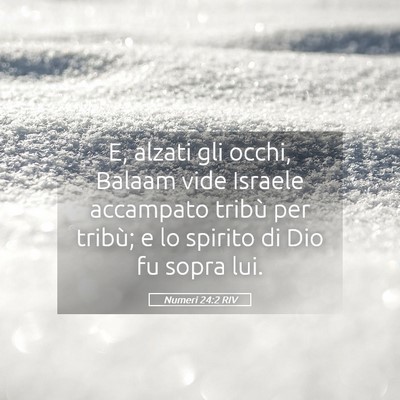 Picture 05 - Numeri 24:2 RIV - E, alzati gli occhi, Balaam vide Israele - Bible Verse Picture