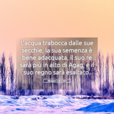Picture 05 - Numeri 24:7 RIV - L’acqua trabocca dalle sue secchie, la sua - Bible Verse Picture