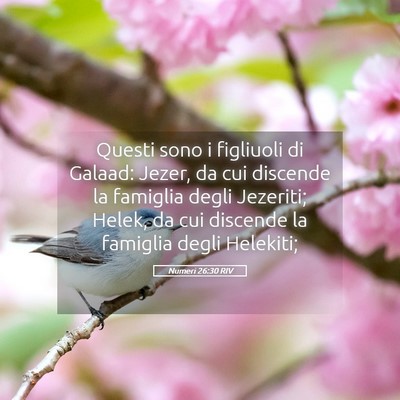 Picture 05 - Numeri 26:30 RIV - Questi sono i figliuoli di Galaad: Jezer, da cui - Bible Verse Picture