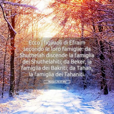 Picture 05 - Numeri 26:35 RIV - Ecco i figliuoli di Efraim secondo le loro - Bible Verse Picture