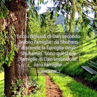 Picture 05 - Numeri 26:42 RIV - Ecco i figliuoli di Dan secondo le loro famiglie: - Bible Verse Picture