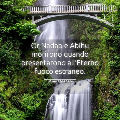 Picture 05 - Numeri 26:61 RIV - Or Nadab e Abihu morirono quando presentarono - Bible Verse Picture