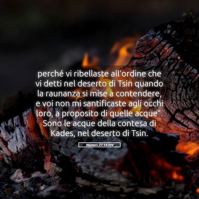 Picture 05 - Numeri 27:14 RIV - perché vi ribellaste all’ordine che vi detti - Bible Verse Picture