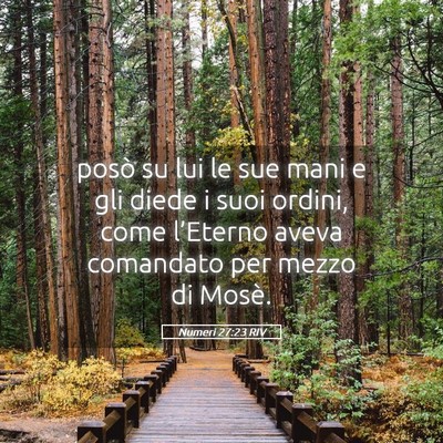 Picture 05 - Numeri 27:23 RIV - posò su lui le sue mani e gli diede i suoi - Bible Verse Picture