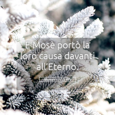 Picture 05 - Numeri 27:5 RIV - E Mosè portò la loro causa davanti - Bible Verse Picture