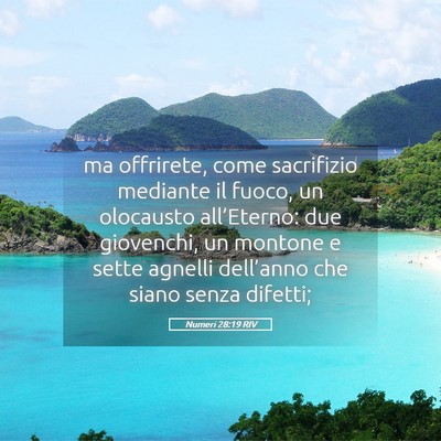 Picture 05 - Numeri 28:19 RIV - ma offrirete, come sacrifizio mediante il fuoco, - Bible Verse Picture