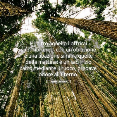 Picture 05 - Numeri 28:8 RIV - E l’altro agnello l’offrirai - Bible Verse Picture