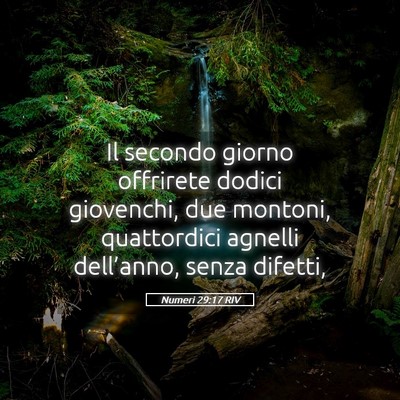 Picture 05 - Numeri 29:17 RIV - Il secondo giorno offrirete dodici giovenchi, due - Bible Verse Picture