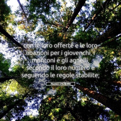 Picture 05 - Numeri 29:24 RIV - con le loro offerte e le loro libazioni per i - Bible Verse Picture