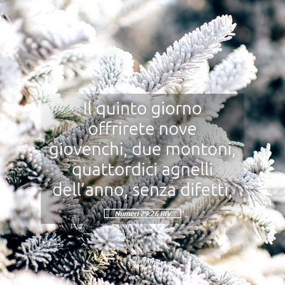 Picture 05 - Numeri 29:26 RIV - Il quinto giorno offrirete nove giovenchi, due - Bible Verse Picture