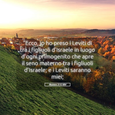 Picture 05 - Numeri 3:12 RIV - “Ecco, io ho preso i Leviti di tra i figliuoli - Bible Verse Picture