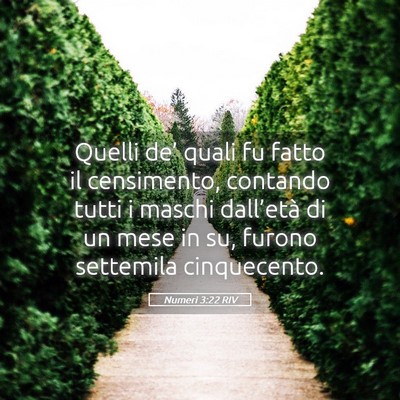 Picture 05 - Numeri 3:22 RIV - Quelli de’ quali fu fatto il censimento, - Bible Verse Picture