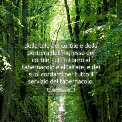 Picture 05 - Numeri 3:26 RIV - delle tele del cortile e della portiera - Bible Verse Picture