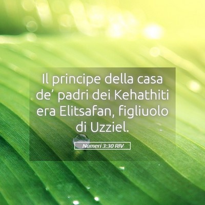 Picture 05 - Numeri 3:30 RIV - Il principe della casa de’ padri dei Kehathiti - Bible Verse Picture