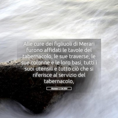 Picture 05 - Numeri 3:36 RIV - Alle cure dei figliuoli di Merari furono affidati - Bible Verse Picture
