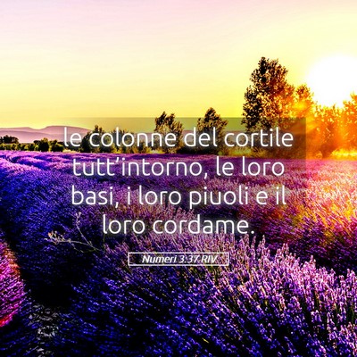Picture 05 - Numeri 3:37 RIV - le colonne del cortile tutt’intorno, le loro - Bible Verse Picture