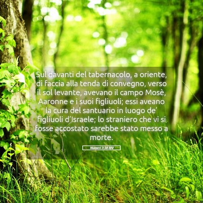 Picture 05 - Numeri 3:38 RIV - Sul davanti del tabernacolo, a oriente, di faccia - Bible Verse Picture