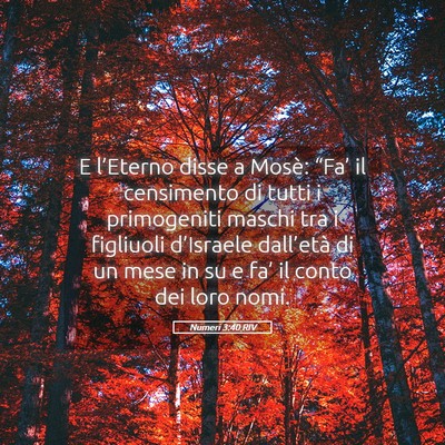Picture 05 - Numeri 3:40 RIV - E l’Eterno disse a Mosè: “Fa’ il - Bible Verse Picture