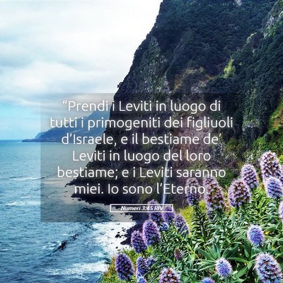 Picture 05 - Numeri 3:45 RIV - “Prendi i Leviti in luogo di tutti i - Bible Verse Picture