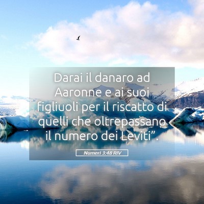 Picture 05 - Numeri 3:48 RIV - Darai il danaro ad Aaronne e ai suoi figliuoli - Bible Verse Picture