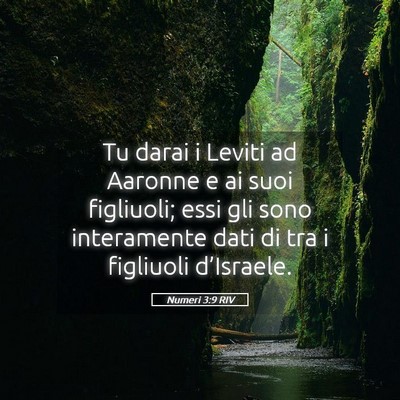 Picture 05 - Numeri 3:9 RIV - Tu darai i Leviti ad Aaronne e ai suoi figliuoli; - Bible Verse Picture