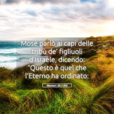 Picture 05 - Numeri 30:1 RIV - Mosè parlò ai capi delle tribù de’ figliuoli - Bible Verse Picture