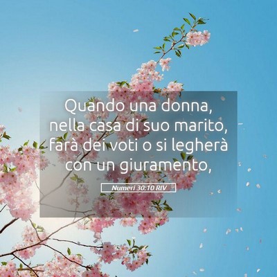 Picture 05 - Numeri 30:10 RIV - Quando una donna, nella casa di suo marito, farà - Bible Verse Picture