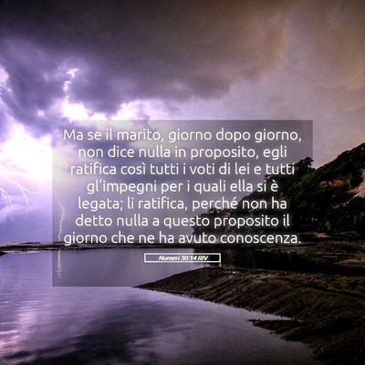 Picture 05 - Numeri 30:14 RIV - Ma se il marito, giorno dopo giorno, non dice - Bible Verse Picture