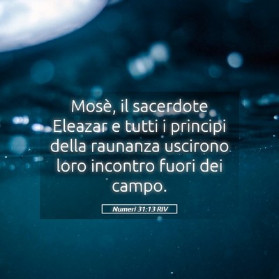 Picture 05 - Numeri 31:13 RIV - Mosè, il sacerdote Eleazar e tutti i principi - Bible Verse Picture