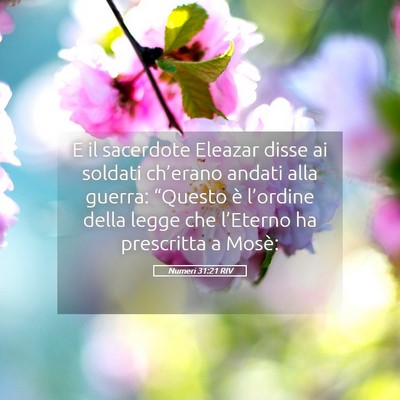 Picture 05 - Numeri 31:21 RIV - E il sacerdote Eleazar disse ai soldati - Bible Verse Picture