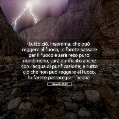 Picture 05 - Numeri 31:23 RIV - tutto ciò, insomma, che può reggere al fuoco, - Bible Verse Picture