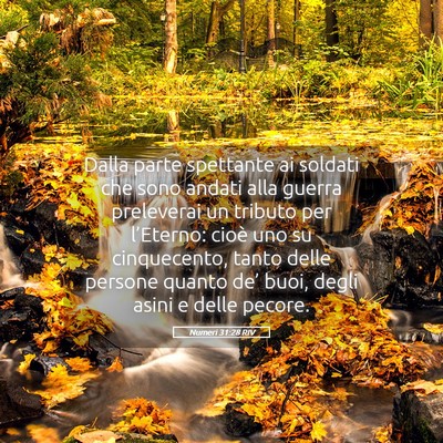 Picture 05 - Numeri 31:28 RIV - Dalla parte spettante ai soldati che sono andati - Bible Verse Picture